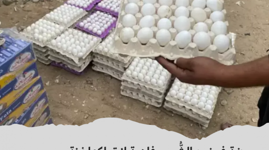 البيض في غزة