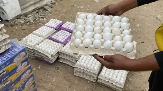 البيض في غزة