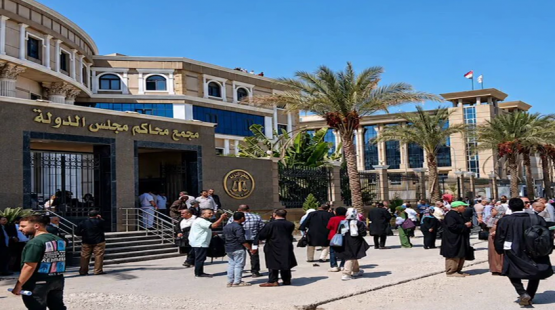 مجلس الدولة