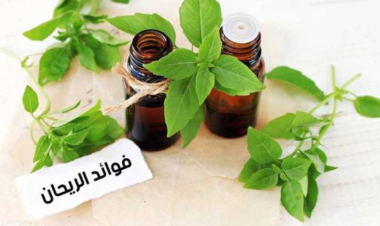 فوائدالريحان