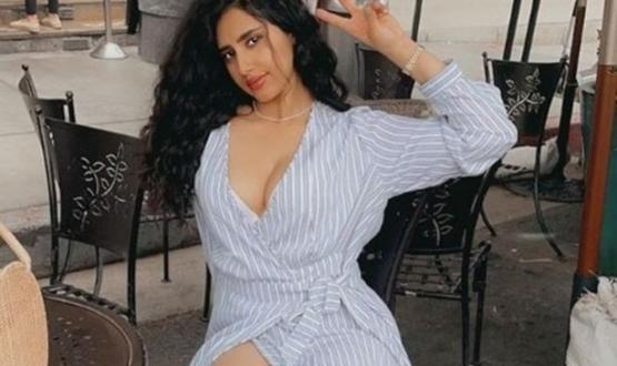 مودل آش