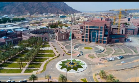 جامعة طيبة للعام الدراسي
