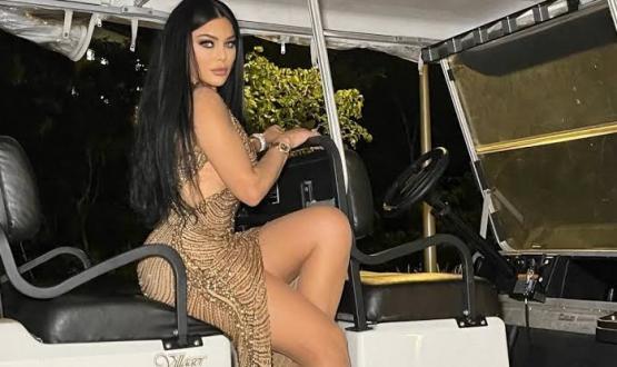 هيفاء وهبي