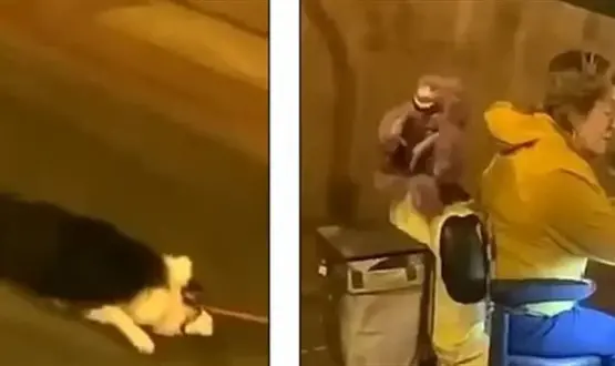 جانب من الفيديو