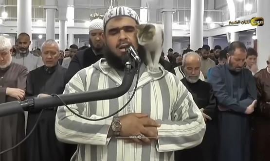 جانب من الفيديو