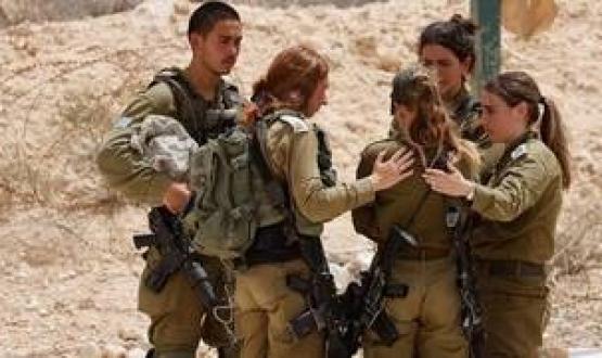 عملية الحدود المصرية