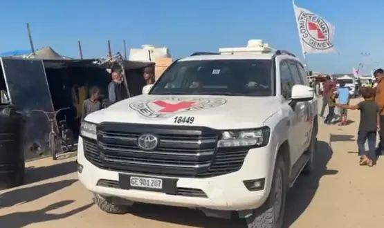 الصليب الأحمر