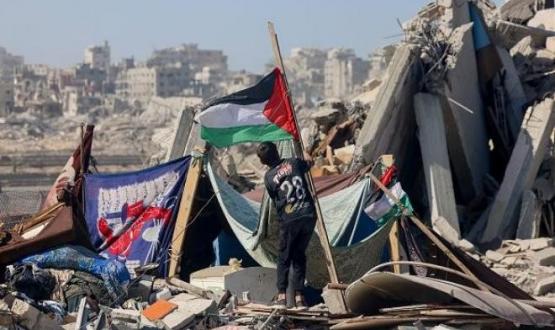 فلسطين
