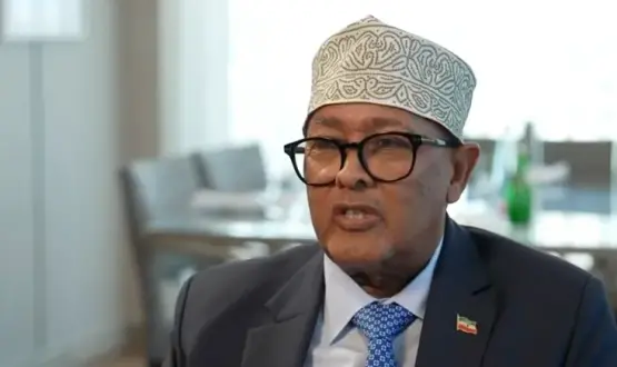 رئيس الصومال