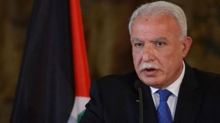 وزير الخارجية والمغتربين رياض المالكي