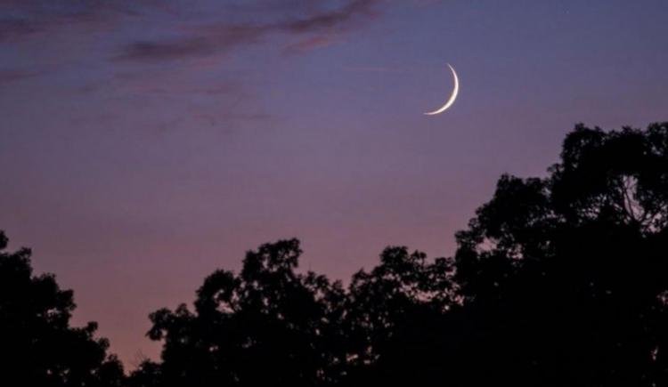 صورة  تعبيرية.jpg
