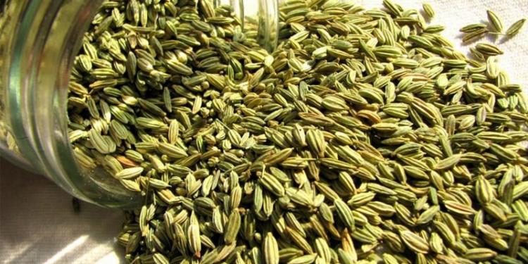15-most-important-benefits-anise-health.jpg
