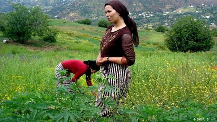 صورة تعبيرية