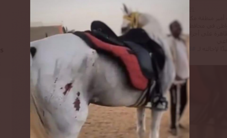 جانب من الفيديو