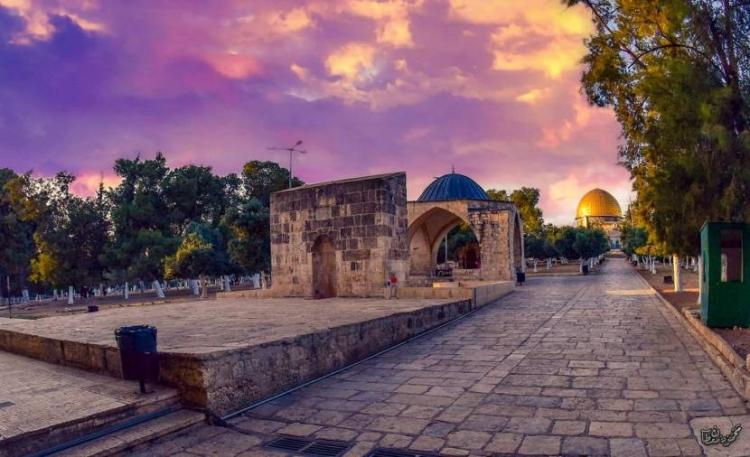 صورة تعبيرية