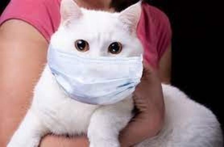صورة تعبيرية