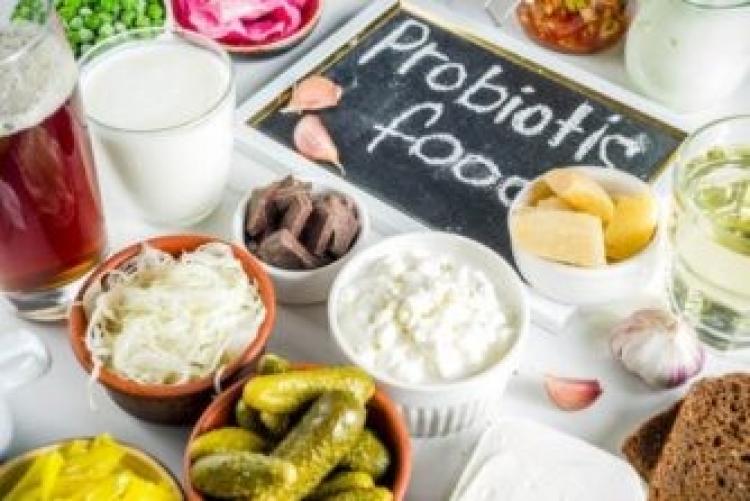 الحاجة إلى البريبايوتكس