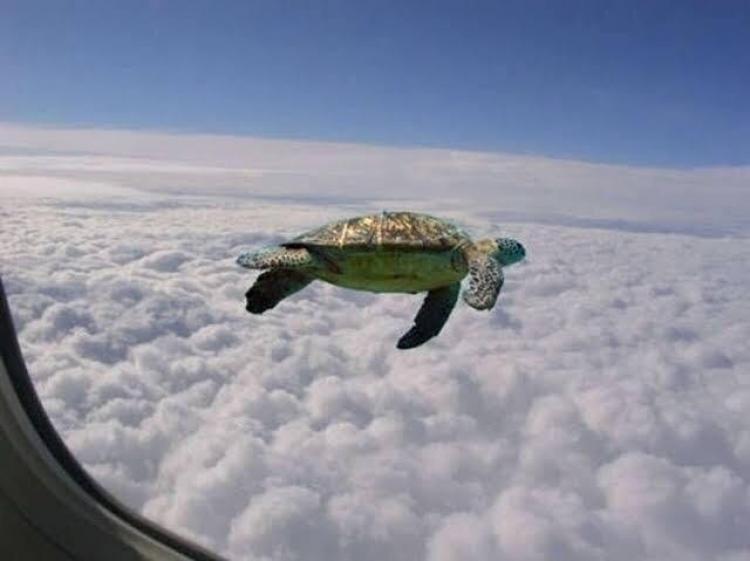 صورة تعبيرية