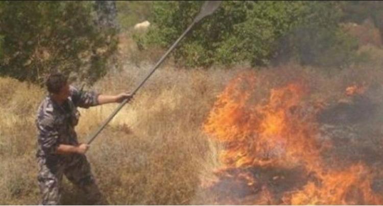 حريق في الأغوار الشمالية - ارشيفية