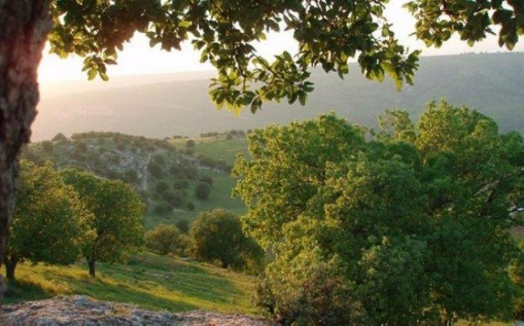 صورة تعبيرية