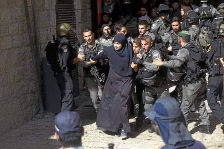 ارشيفية