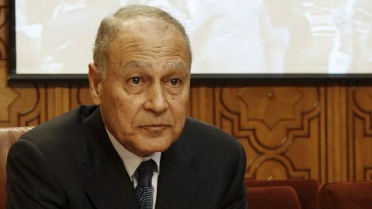 الأمين العام للجامعة العربية أحمد أبو الغيط