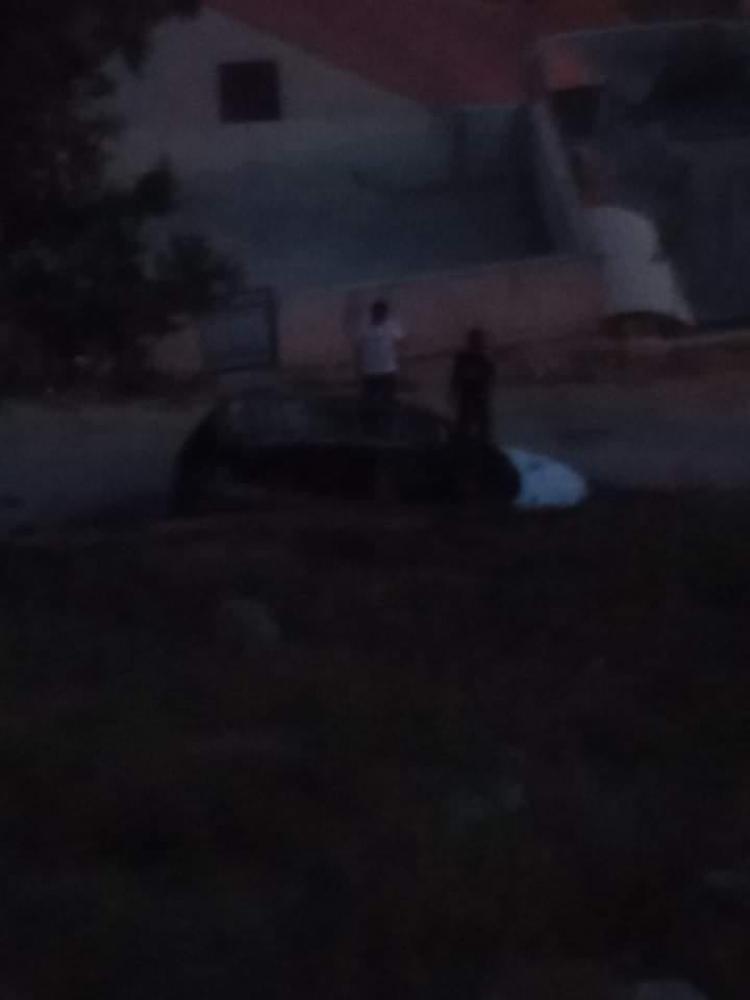 عقربا