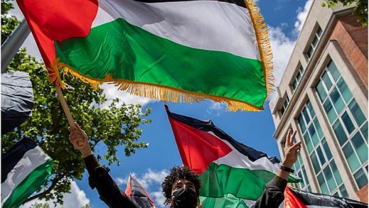 أحداث فلسطين
