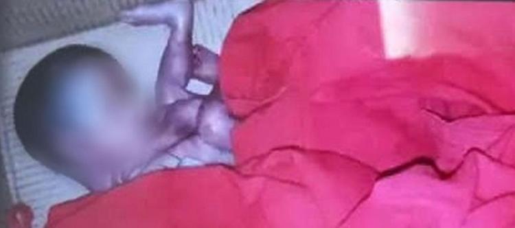 الجنين الذي تم اجهاضه