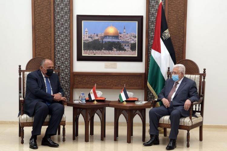 الرئيس خلال استقبال وزير الخارجية المصري