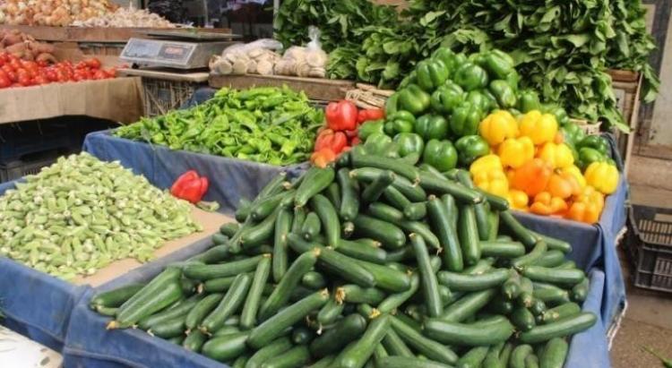 طالع أسعار الخضروات والفواكه والدجاج واللحوم في قطاع غزة