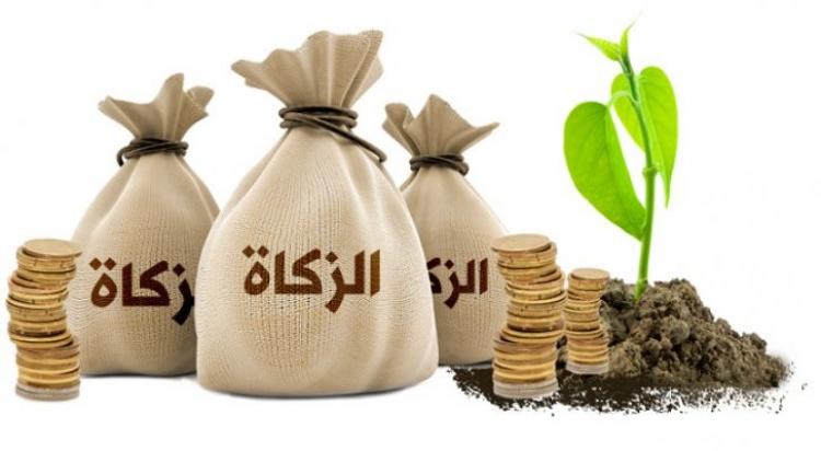 زكاة الفطر