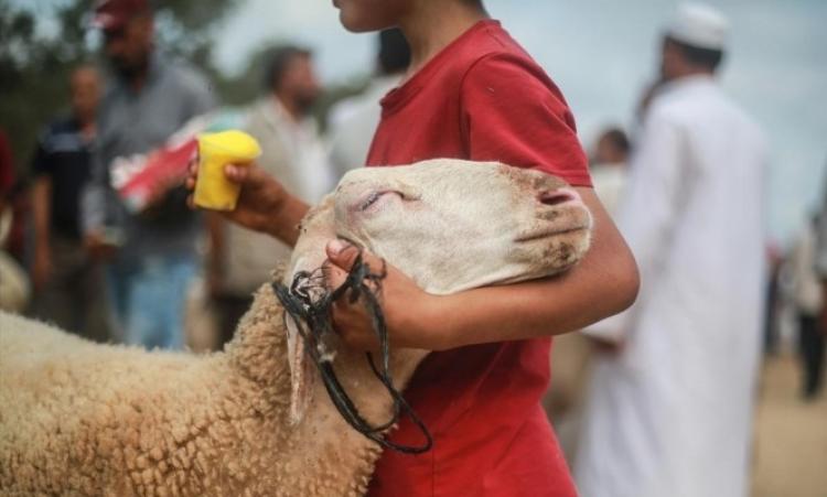 عيد الاضحى