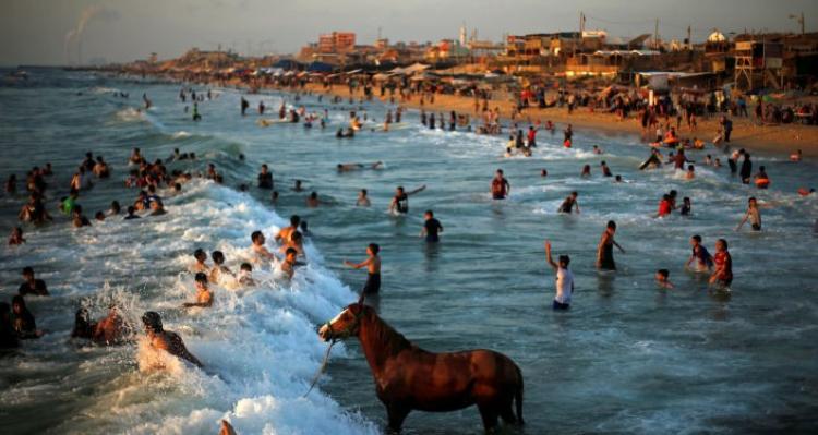 صورة تعبيرية