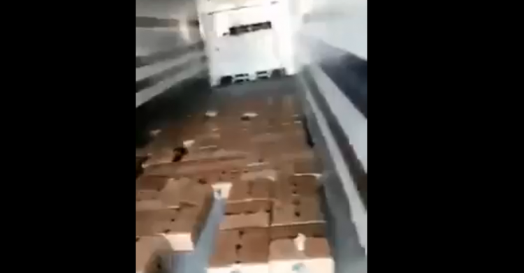 جانب من الفيديو