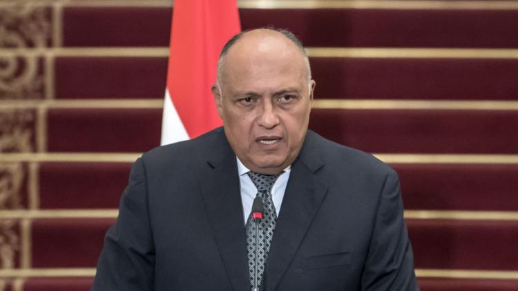 سامح شكرى وزير الخارجية المصري