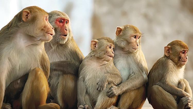 صورة توضيحية