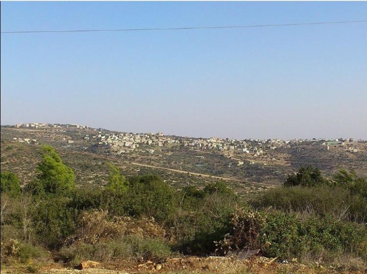 بلدة عانين