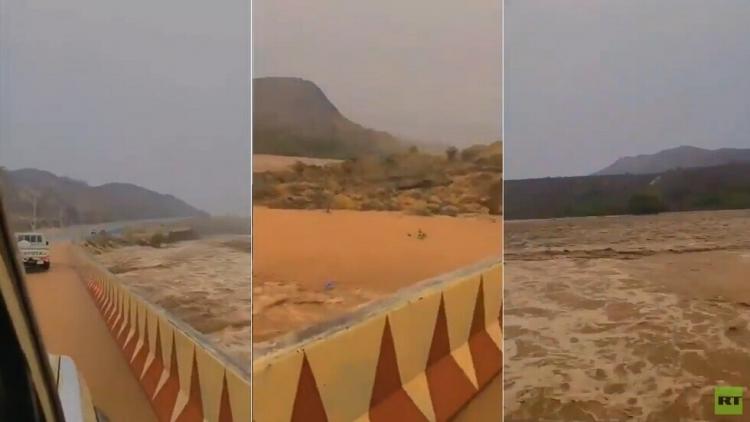 سيول في السعودية