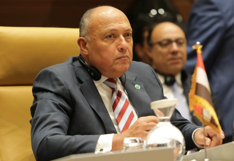 سامح شكرى وزير الخارجية المصري
