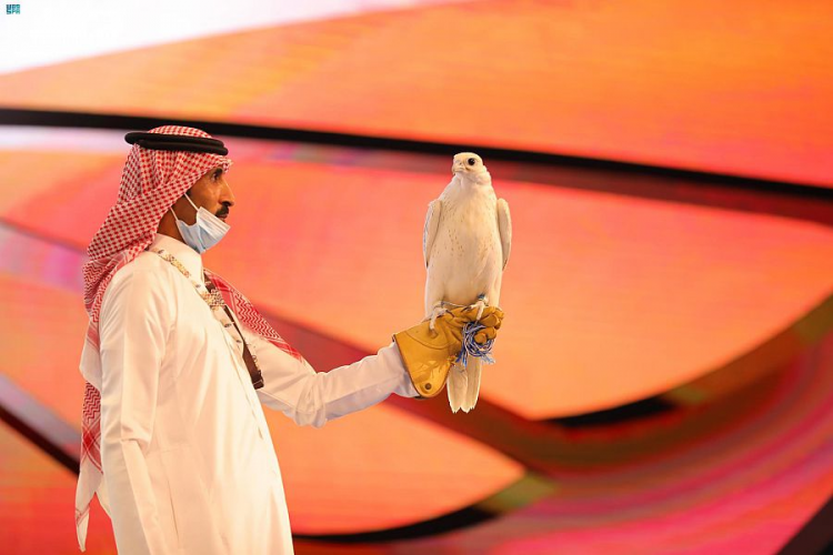 بيع اغلى صقر في السعودية