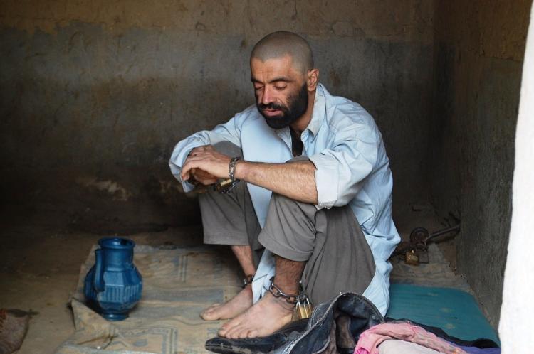 صورة توضيحية
