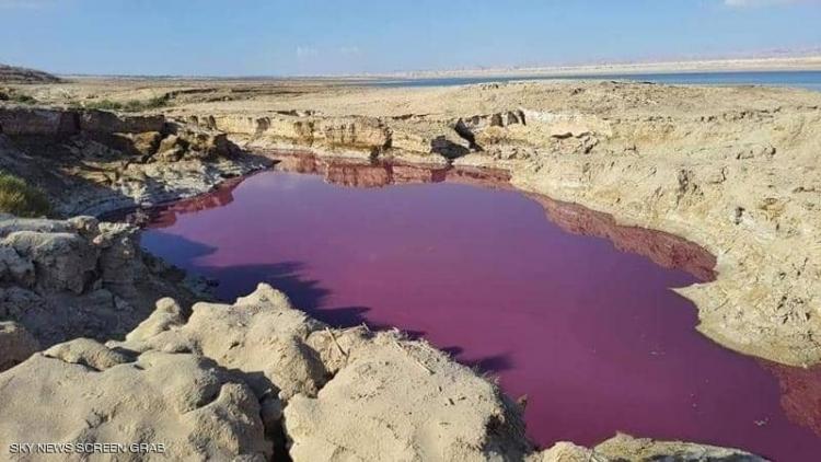 منطقة بالأغوار الجنوبية