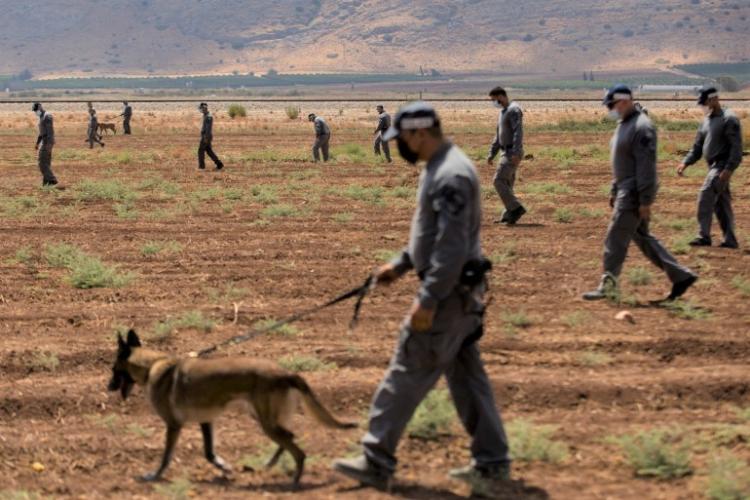 صورة ارشيفية