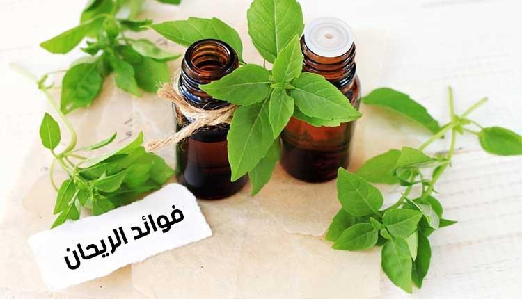 فوائدالريحان