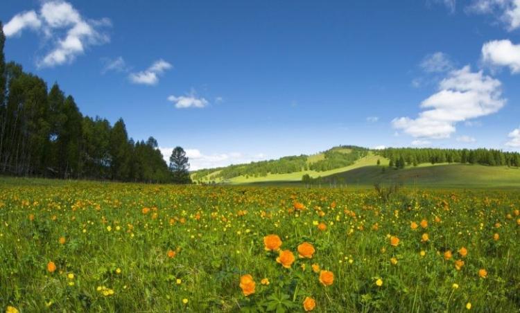 صورة توضيحية