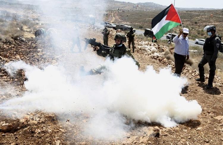 صورة أرشيفية