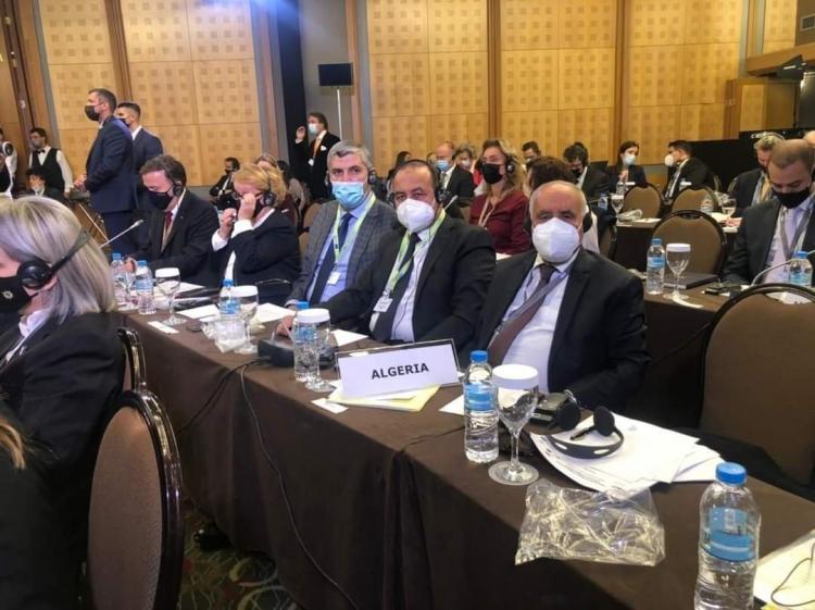 خلال المؤتمر