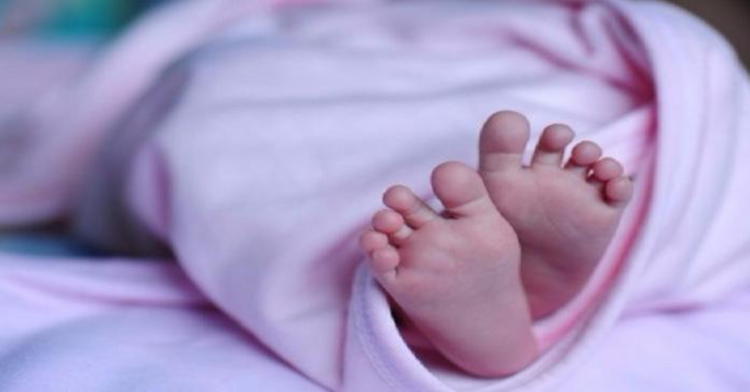 صورة توضيحية