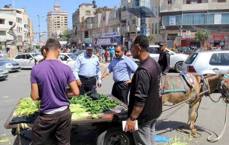 غزة